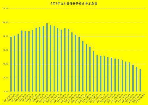 山东猪市最新行情