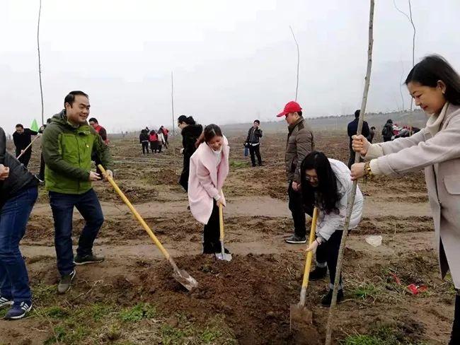 安庆外环北路西段焕新升级，美好未来尽展眼前