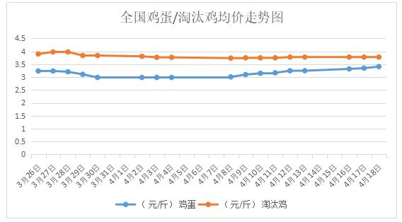 鸡蛋价格新动向：中国市场喜见佳讯