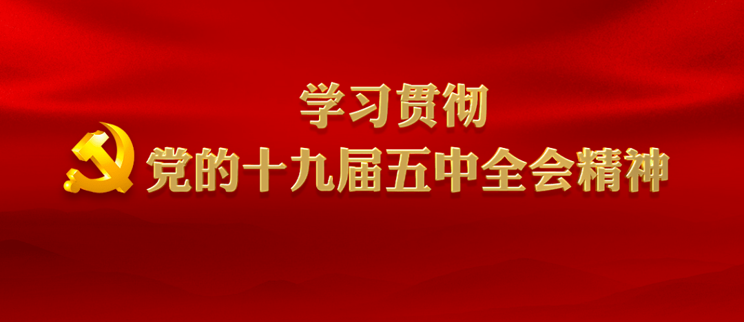 山东卫视倾情呈现新一期精彩内容