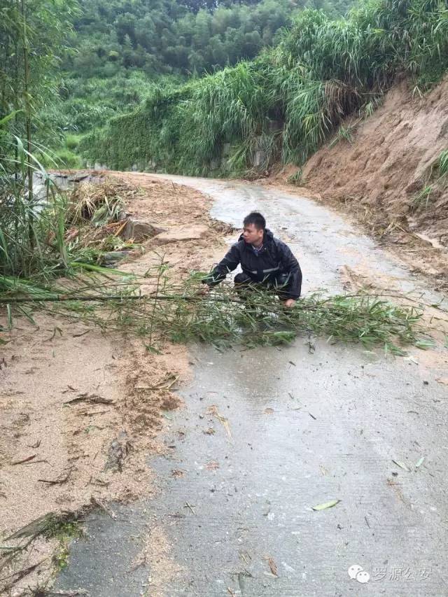 罗源地区台风最新动态