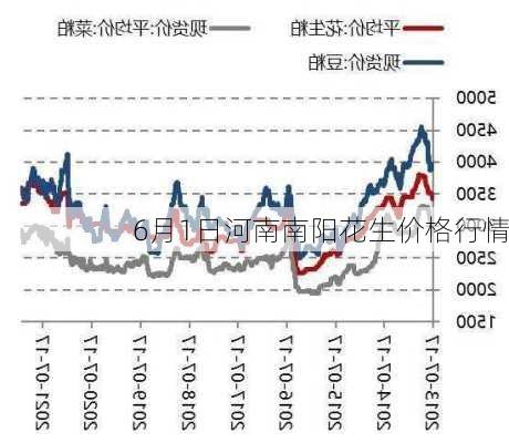 全国花生市场最新行情速览