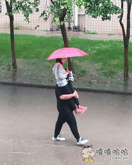 笑翻雨幕：盘点最新出炉的雨天趣味段子集锦