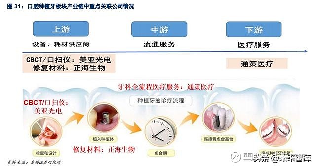 2025年牙齿再生技术突破性进展：最新动态揭秘